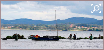 La Punta del Capitán