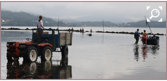 La Punta del Capitán